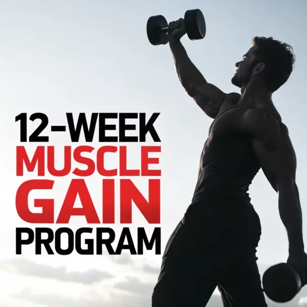 Advanced Muscle Building Program